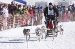 Lenk 2013